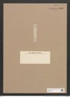 Amphora obtusiuscula Grun. (de-Toni-Nr.: Genus 36, Species 1626) Zeichnungen Sammlung Grunow Nr. 3107 (NHMW-BOT-W0370524)